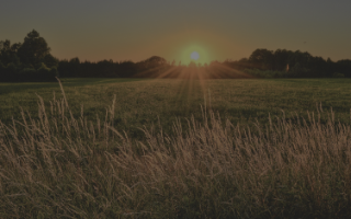 Why rural broadband is so slow?